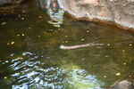 DSC_6934.JPG